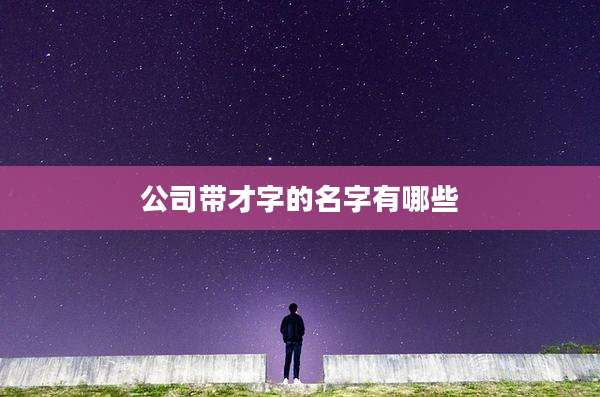 公司带才字的名字有哪些