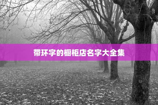 带环字的橱柜店名字大全集