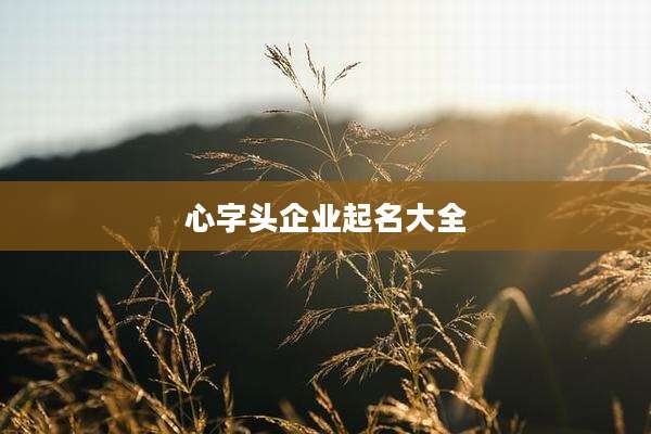 心字头企业起名大全