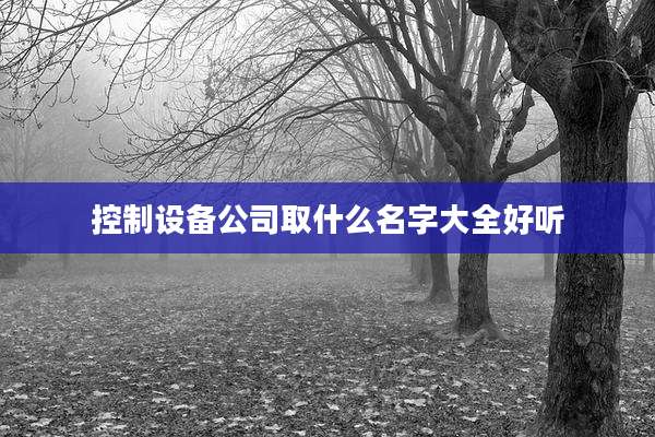 控制设备公司取什么名字大全好听