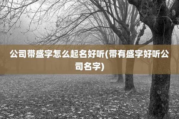 公司带盛字怎么起名好听(带有盛字好听公司名字)