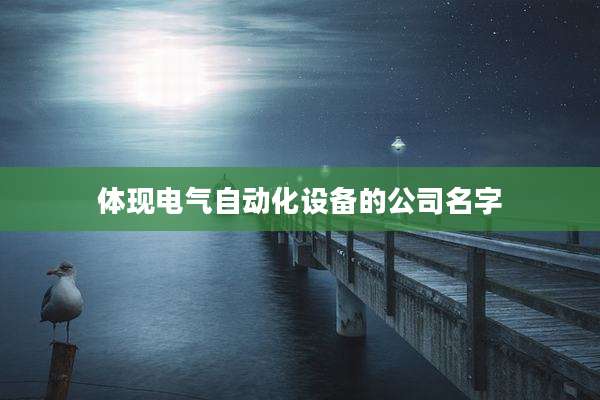 体现电气自动化设备的公司名字