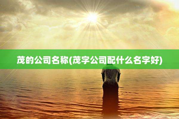 茂的公司名称(茂字公司配什么名字好)