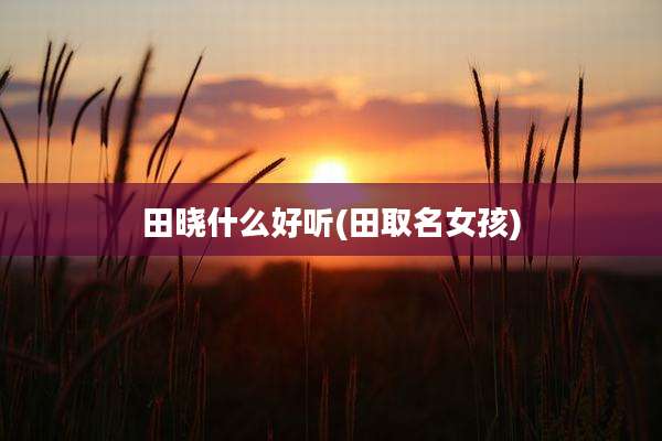 田晓什么好听(田取名女孩)