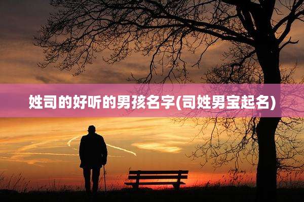 姓司的好听的男孩名字(司姓男宝起名)