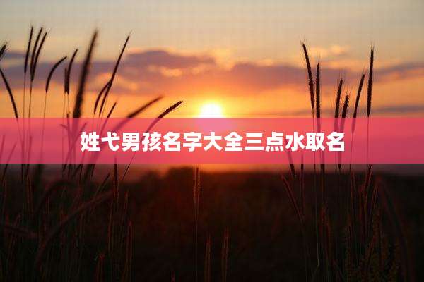 姓弋男孩名字大全三点水取名