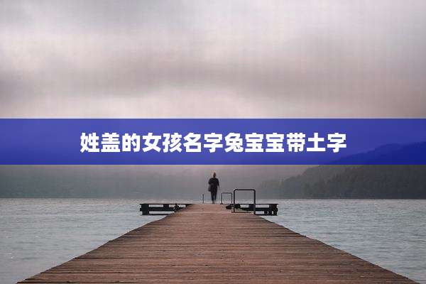 姓盖的女孩名字兔宝宝带土字