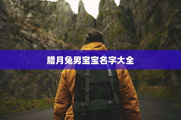 腊月兔男宝宝名字大全
