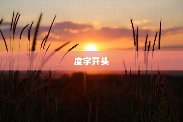度字开头