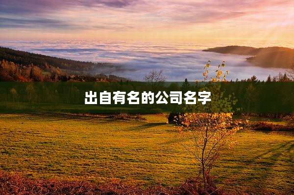 出自有名的公司名字