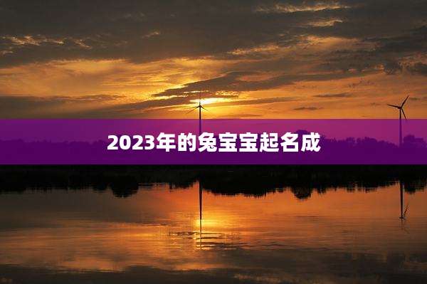 2023年的兔宝宝起名成