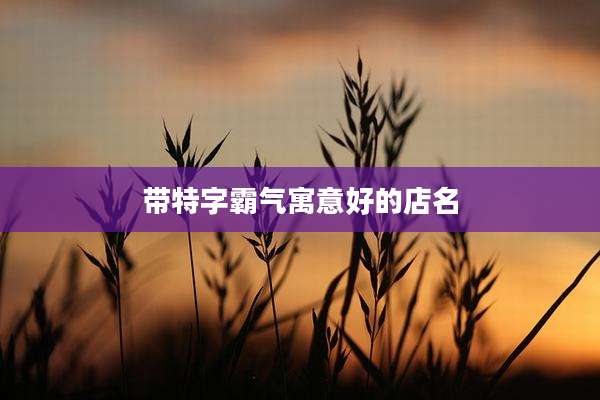 带特字霸气寓意好的店名