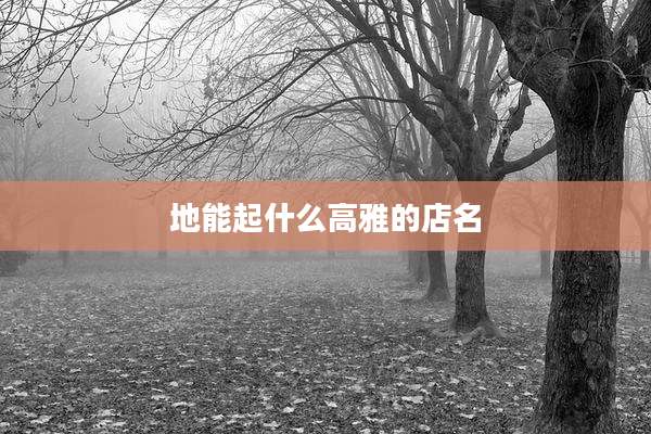 地能起什么高雅的店名