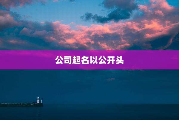公司起名以公开头