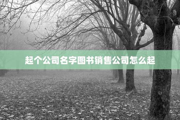 起个公司名字图书销售公司怎么起