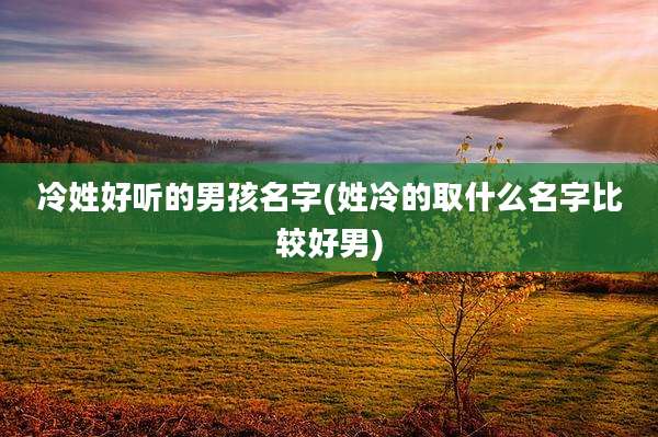 冷姓好听的男孩名字(姓冷的取什么名字比较好男)