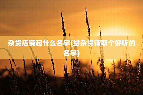 杂货店铺起什么名字(给杂货铺取个好听的名字)