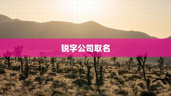 锐字公司取名