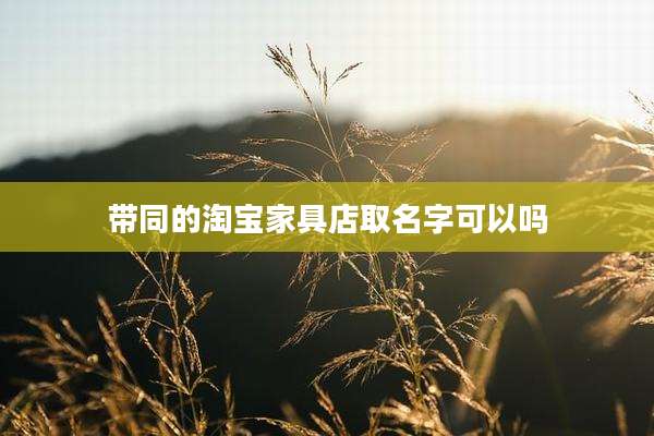 带同的淘宝家具店取名字可以吗