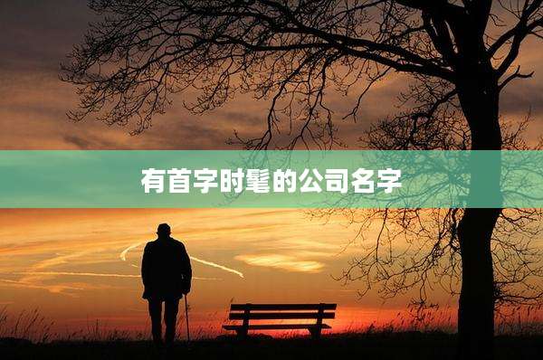 有首字时髦的公司名字