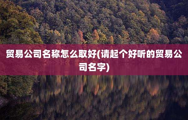贸易公司名称怎么取好(请起个好听的贸易公司名字)