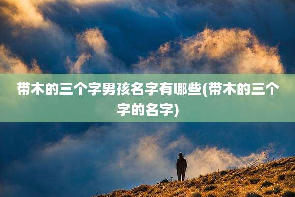 带木的三个字男孩名字有哪些(带木的三个字的名字)