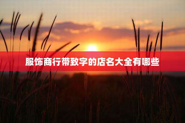 服饰商行带致字的店名大全有哪些