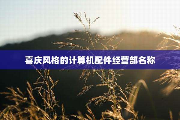 喜庆风格的计算机配件经营部名称