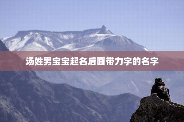 汤姓男宝宝起名后面带力字的名字