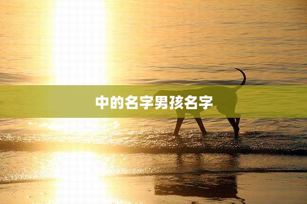 中的名字男孩名字