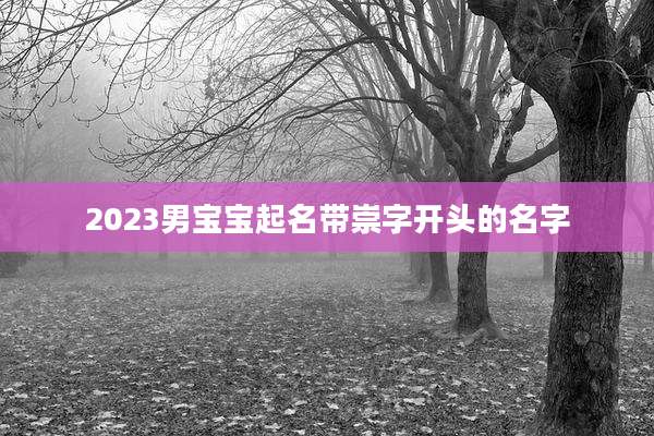 2023男宝宝起名带崇字开头的名字