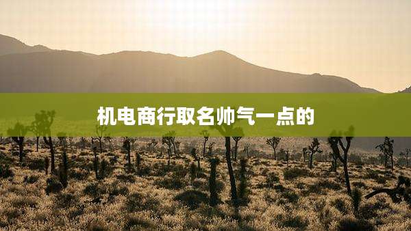 机电商行取名帅气一点的