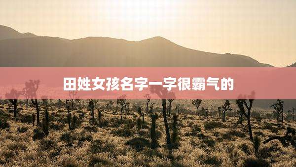 田姓女孩名字一字很霸气的