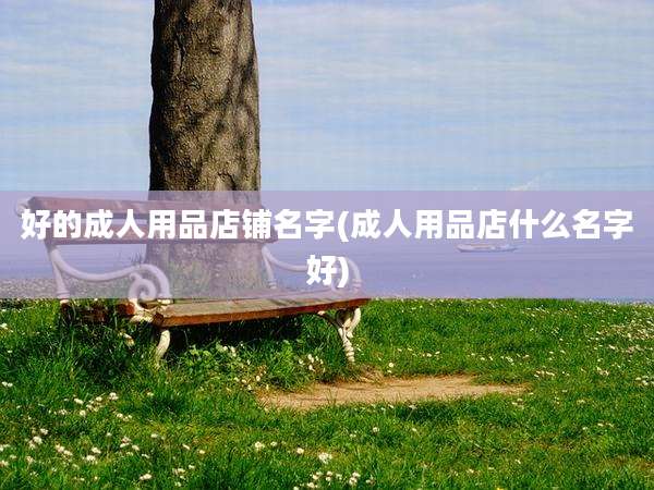 好的成人用品店铺名字(成人用品店什么名字好)