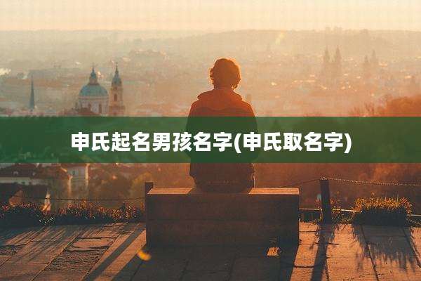 申氏起名男孩名字(申氏取名字)