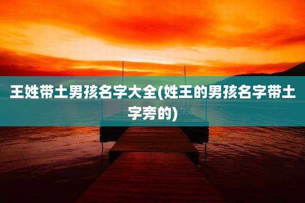 王姓带土男孩名字大全(姓王的男孩名字带土字旁的)