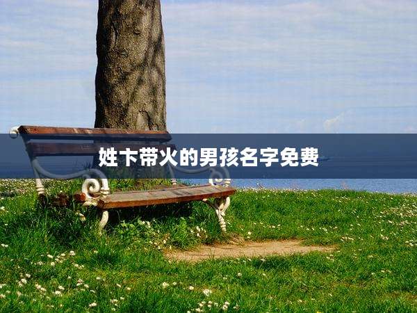 姓卞带火的男孩名字免费