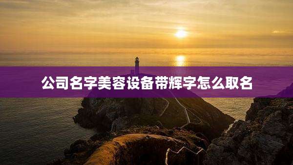 公司名字美容设备带辉字怎么取名