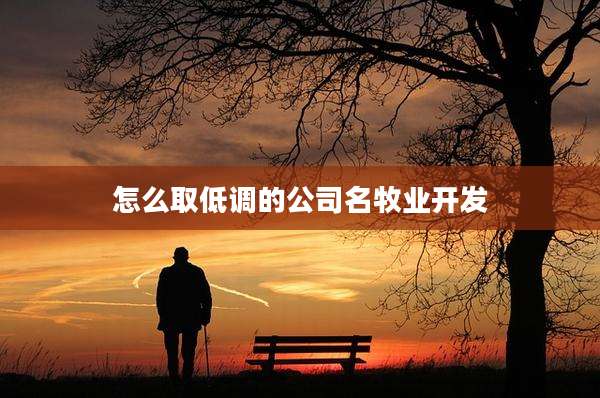 怎么取低调的公司名牧业开发