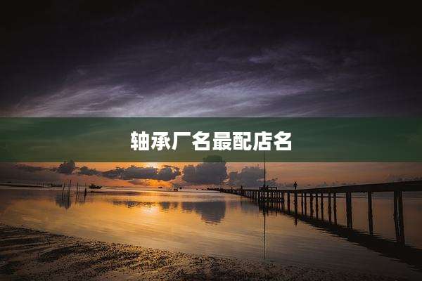 轴承厂名最配店名