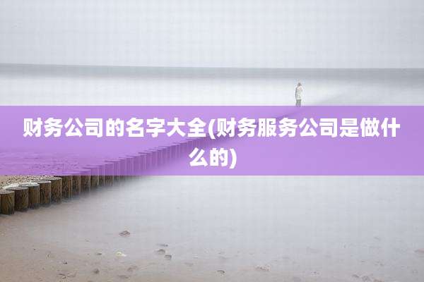 财务公司的名字大全(财务服务公司是做什么的)
