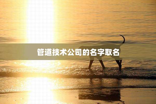 管道技术公司的名字取名