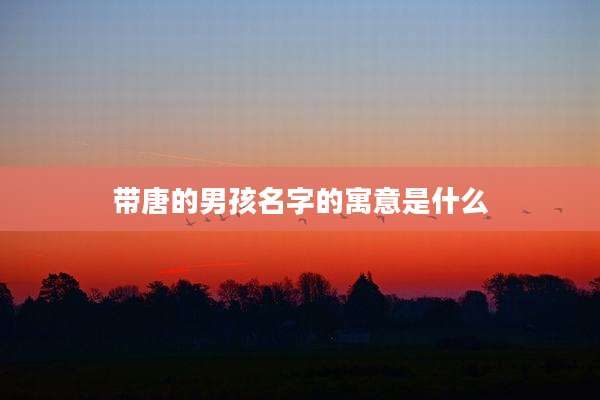 带唐的男孩名字的寓意是什么