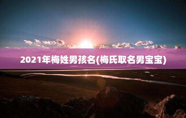 2021年梅姓男孩名(梅氏取名男宝宝)