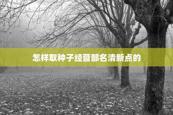 怎样取种子经营部名清新点的