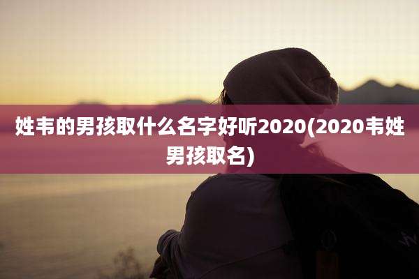 姓韦的男孩取什么名字好听2020(2020韦姓男孩取名)