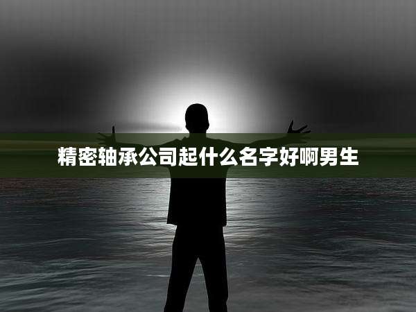 精密轴承公司起什么名字好啊男生