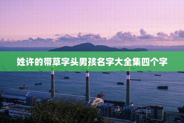 姓许的带草字头男孩名字大全集四个字