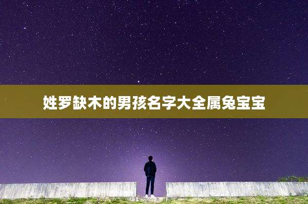 姓罗缺木的男孩名字大全属兔宝宝