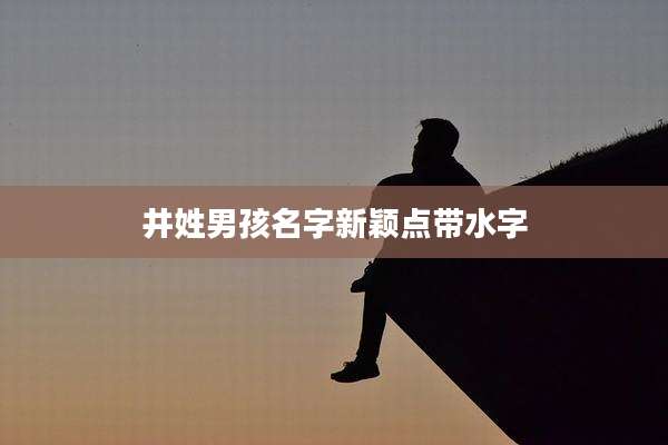 井姓男孩名字新颖点带水字